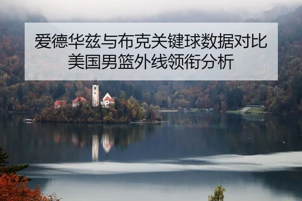 ai-de-hua-zi-yu-bu-ke-guan-jian-qiu-shu-ju-dui-bi-mei-guo-nan-lan-wai-xian-ling-xian-fen-xi-2-458.jpg