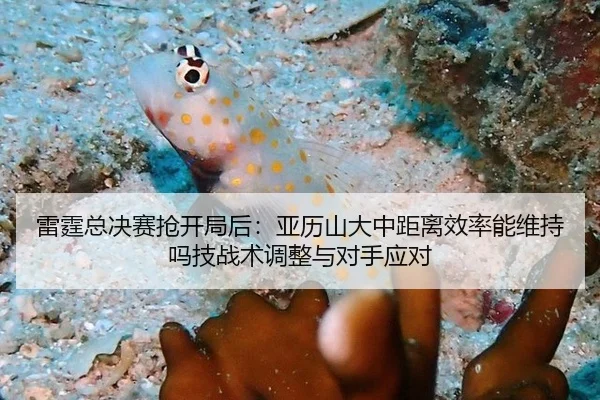 雷霆总决赛抢开局后：亚历山大中距离效率能维持吗技战术调整与对手应对