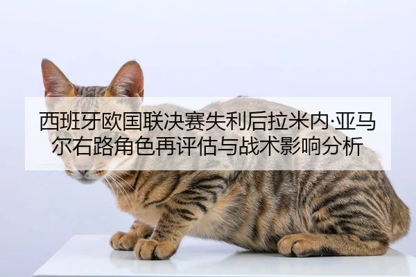 xi-ban-ya-ou-guo-lian-jue-sai-shi-li-hou-la-mi-nei-ya-ma-er-you-lu-jue-se-zai-ping-gu-yu-zhan-shu-ying-xiang-fen-xi-2-991.jpg