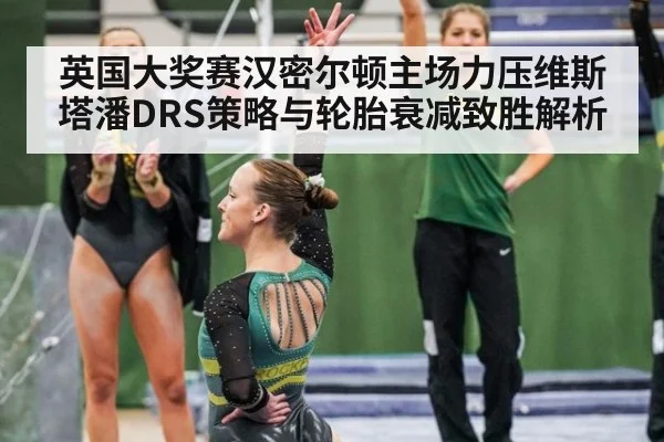 英国大奖赛汉密尔顿主场力压维斯塔潘DRS策略与轮胎衰减致胜解析